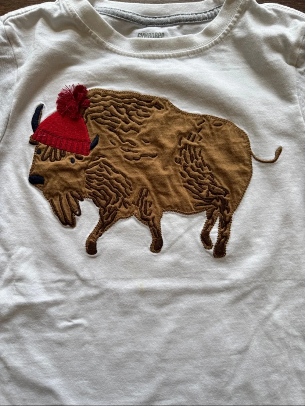 Four Gymboree cotton long sleeves tees S (5) Buffalo Bear Cat Basketball
